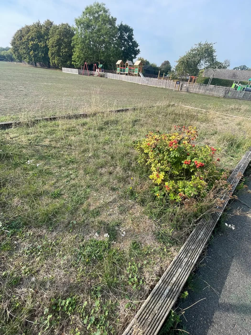 The disused pétanque piste in Wetherden — a timber-edged rectangle overgrown with grass and weeds, beside the tennis court and playing field.