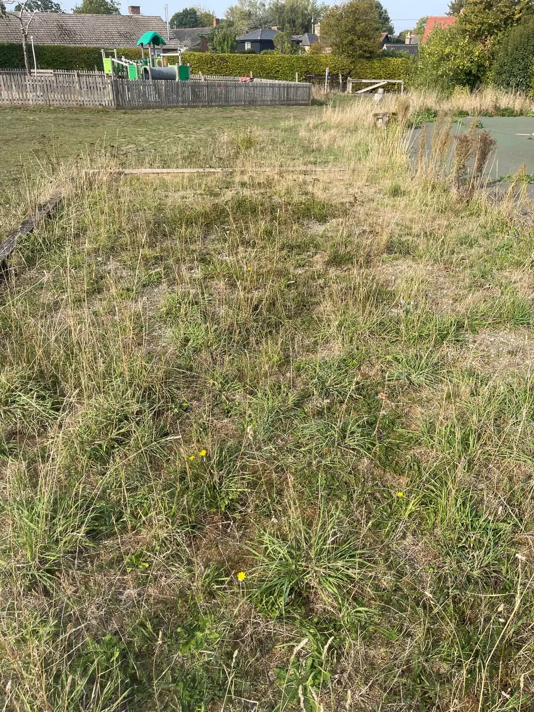 The disused pétanque piste in Wetherden — a timber-edged rectangle overgrown with grass and weeds, beside the tennis court and playing field.